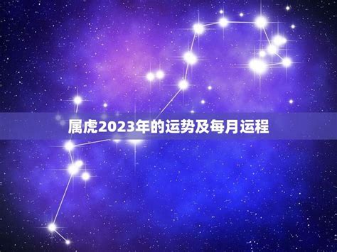 属虎幸运号码2023